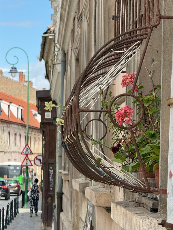 Brasov Old Town - 2026-07-25 15.02.59